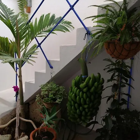 La Haciendita De La Casita Azul Apartment *
