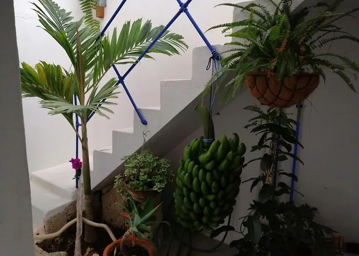 La Haciendita De La Casita Azul Apartamento *